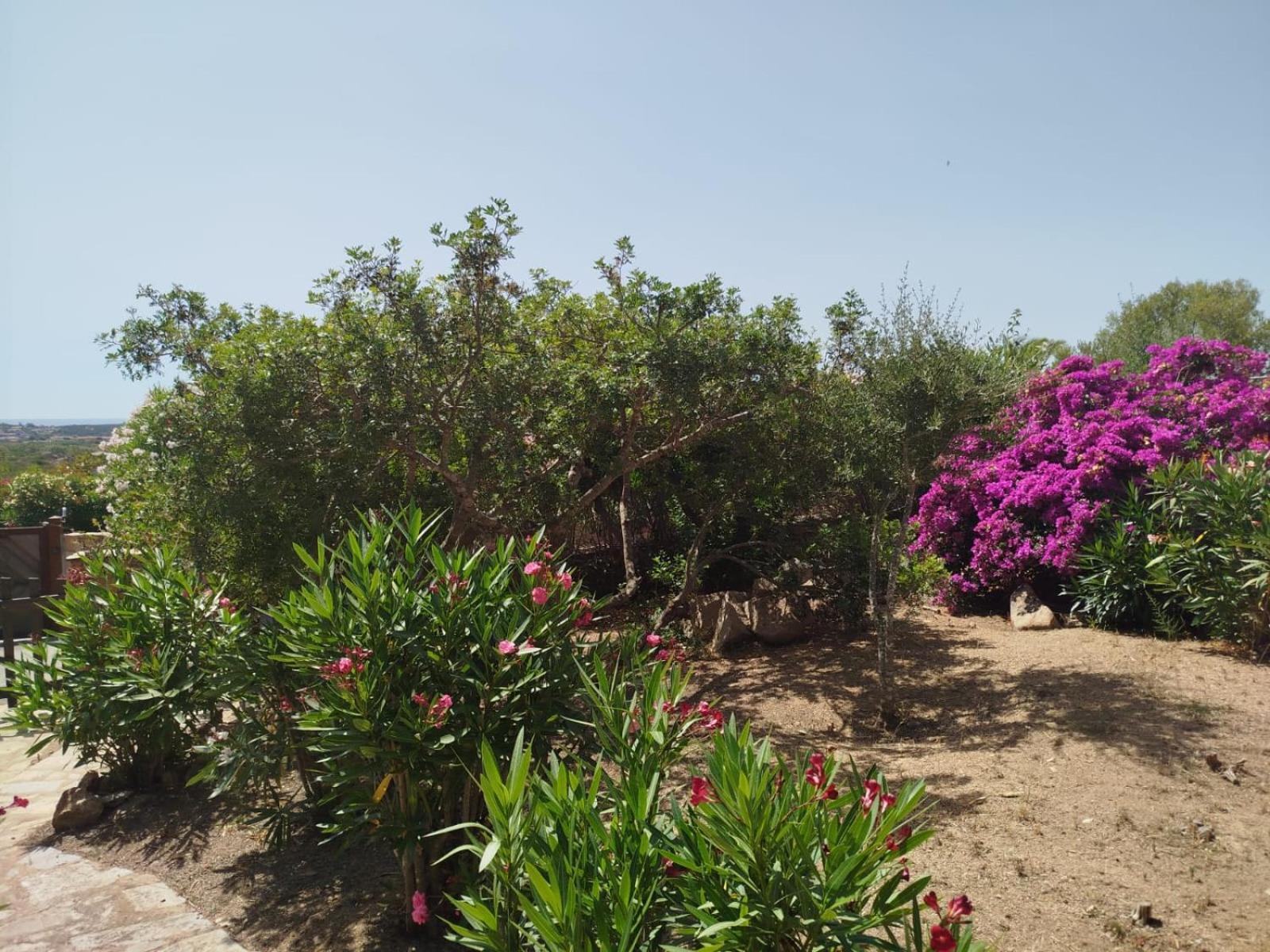 Villa Vista Mare Cala Ginepro Punta Molara ภายนอก รูปภาพ